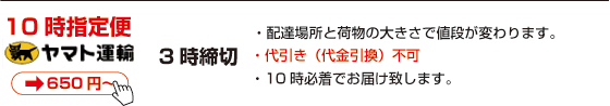 10���w���